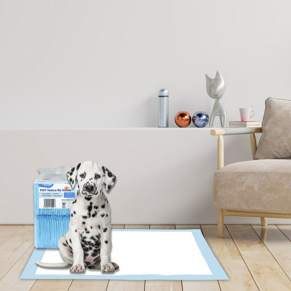 PIPI Matten für Hunde,100 Stück, 60x60cm Trainingspads , Hunde PIPI Unterlagen, Super saugfähig, auslaufsicher, 6-Schichten, ideal für Welpen, Hunde & ältere Haustiere